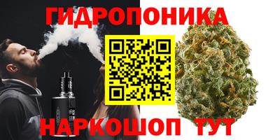 jwh Лесосибирск